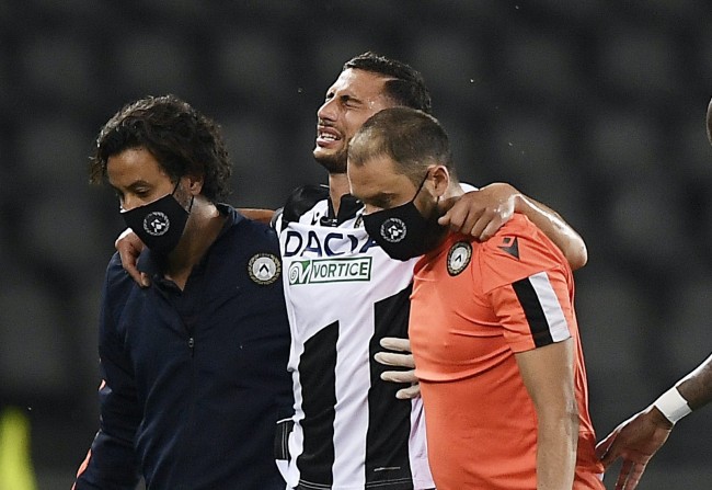 这一事实 这一事实